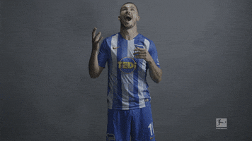german football GIF by Bundesliga
