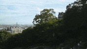 viceland GIF by GAYCATION with Ellen Page and Ian Daniel