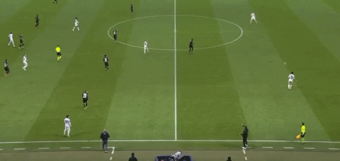 qwerpoiu22ppop giphyupload GIF