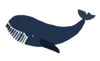 Blue Whale Sticker by gretasschwester