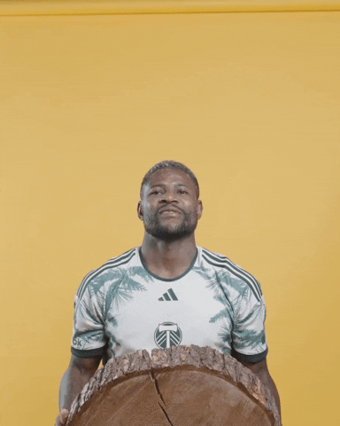 Mls Portland GIF by Timbers