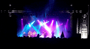 Party Concert GIF by Sybarites