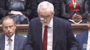 news brexit parliament its true jeremy corbyn GIF