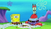season 9 GIF by SpongeBob SquarePants