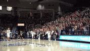 GonzagaBulldogs basketball celebration bench gonzaga GIF