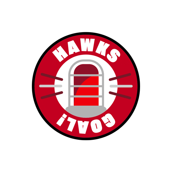 national hockey league goal Sticker by NHLBlackhawks