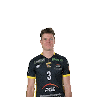 Happy Volleyball Sticker by PGE GiEK Skra Bełchatów