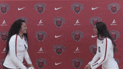 Volleyball Wildcats GIF by CWU Athletics
