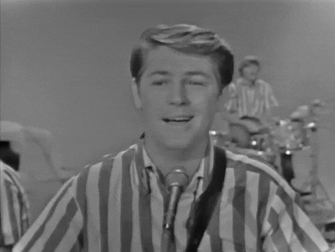 The Beach Boys GIF