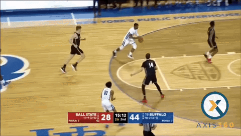 ub bulls buffalo GIF