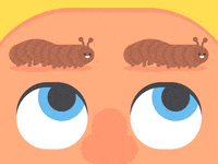 beauty eyebrows GIF by James Curran
