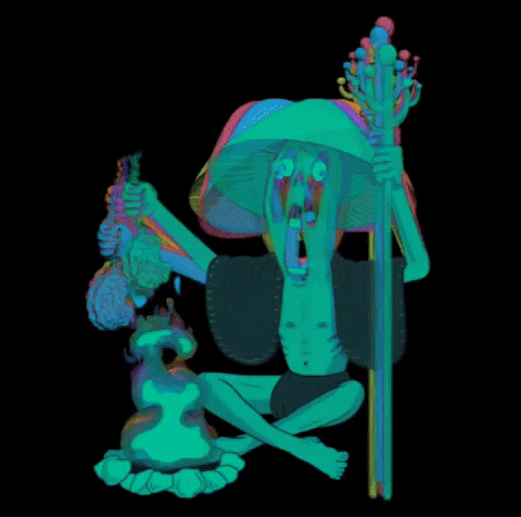 Acid Shrooms GIF by Zachary Sweet