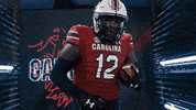 College Football GIF by gamecocksonline