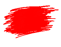 New Video Sticker