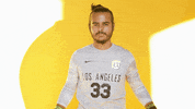 Cal State La Soccer GIF by Cal State LA Golden Eagles