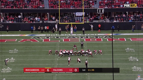 tampabaybuccaneers GIF
