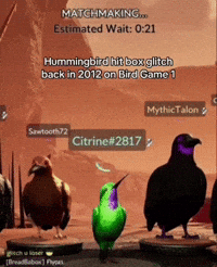 Hummingbird GIF