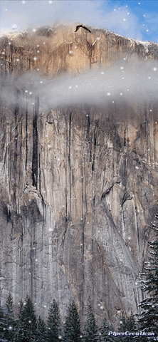 Pipercreations Nature Landscape Mountain Cliff Misty Clouds Sky Eagle Pinetrees Naturelover GIF