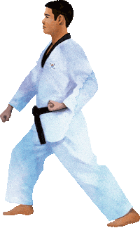 Martial Arts Sport Sticker by vank