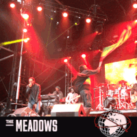 GIF by The Meadows NYC