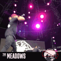 GIF by The Meadows NYC