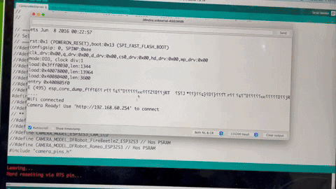 Animated GIF