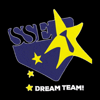 SocietateaStudentilorEurpensti sse2020 GIF