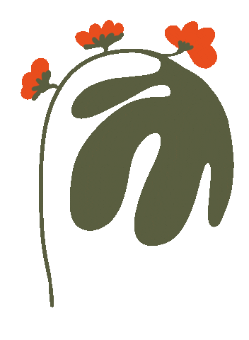 hetalinnea giphyupload flower flowers rose Sticker