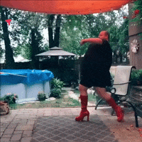 Man-in-high-heels GIFs - Get the best GIF on GIPHY