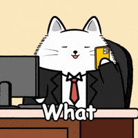 Talking White Cat GIF by MESA My Emotional Support Animal