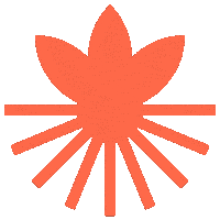 Orange9 Sticker by Rockmy