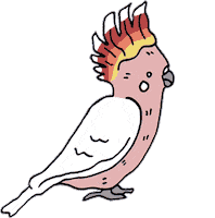 illustration bird Sticker