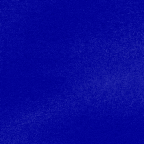 Celebrityjeopardy GIF by Jeopardy!