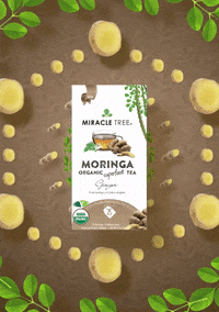 miracletreetea moringa moringa tea miracle tree miracle tree tea GIF