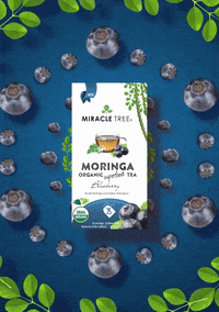 miracletreetea moringa moringa tea miracle tree miracle tree tea GIF