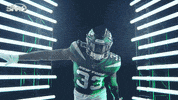 New York Jets Football GIF by SNY