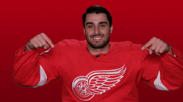 Red Wings Sport GIF by Detroit Red Wings