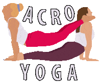acroyoya acroyoga acroyoya Sticker