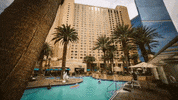 Vegas GIF by Switzerfilm