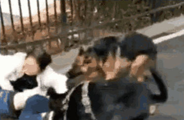 cuteanimalland giphyupload GIF