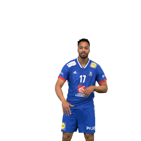 Dance Ffhandball Sticker by Fédération Française de Handball