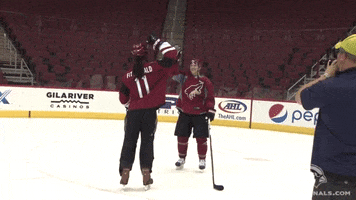 Arizona Coyotes GIF by Arizona Cardinals
