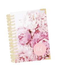 leannebakerdaily journal productivity boss babe diary Sticker