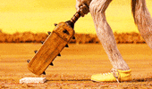 wes anderson cricket GIF