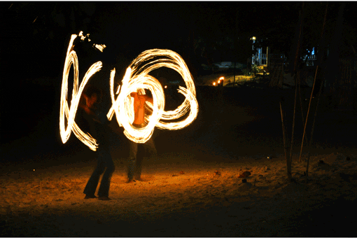 fire show GIF