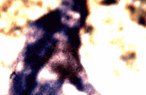 revealed GIF