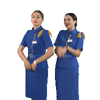 flyuia wow crew aviation flight attendant Sticker