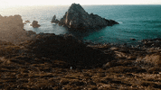 Beach Running GIF by nettwerkmusic