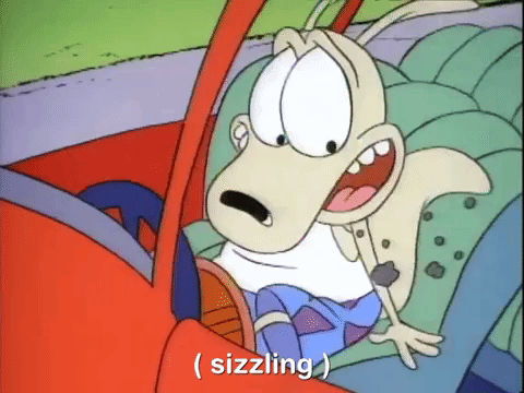 rockos modern life nicksplat GIF