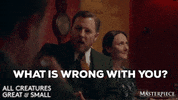What Is Wrong With You GIF by MASTERPIECE | PBS